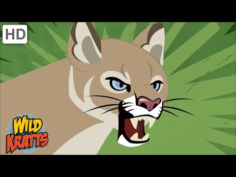 Creature Battles! | Every Creature Showdown Part 7 | Wild Kratts