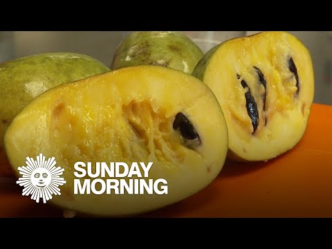 A sweet celebration of pawpaw fruit