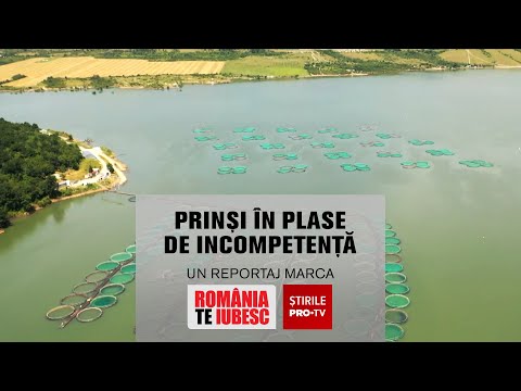 Prinși &amp;icirc;n plase de incompetență, reportaj realizat de echipa Rom&amp;acirc;nia, te iubesc!