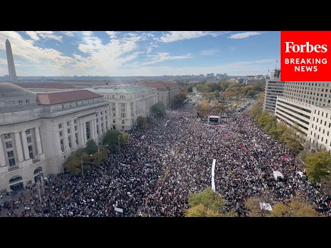 Thousands Of Pro-Palestinian Demonstrators Protest In Washington, D.C. In Favor Of Gaza Ceasefire