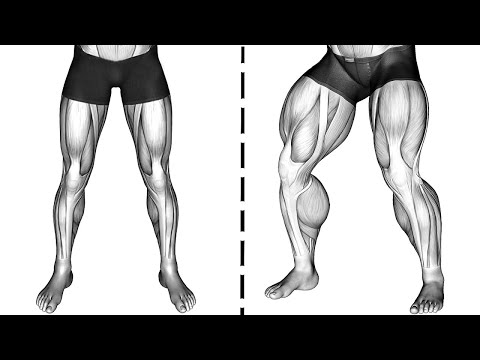 15 Exercises TRAIN LEGS WITHOUT LEAVING HOME (complete) Bodyweight Leg Workout at Home