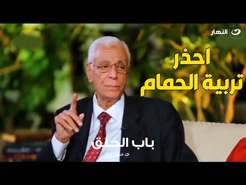 تحذير شديد من د. حسام موافي : تربية الحمام خطر جدا