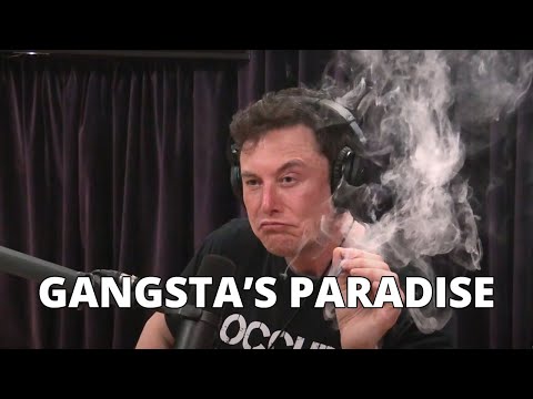 Elon Musk - I Don't Ever Give Up | Gangsta's Paradise