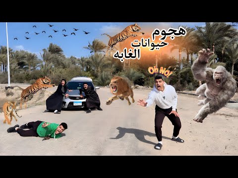 لما تسافر مع أهلك في نزهه ويطلع عليكم حيوانات الغابه المفترسين🦁🦍 ( الجزء الاول💥)