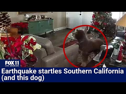 4.2 magnitude earthquake hits SoCal