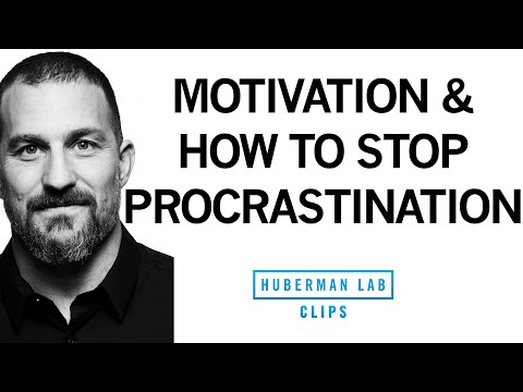 How to Stop Procrastination &amp; Increase Motivation | Dr. Andrew Huberman