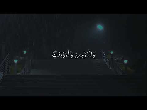 القارئ :شريف مصطفى /سور نوح.