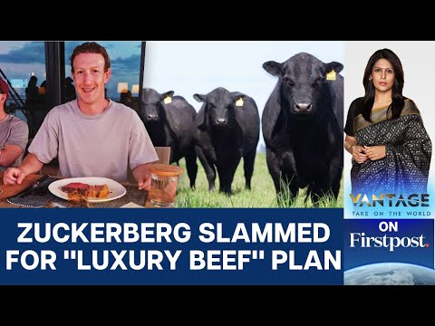 Zuckerberg's New Project: Macadamia &amp; Beer Raised &quot;Luxury Beef&quot;  | Vantage with Palki Sharma