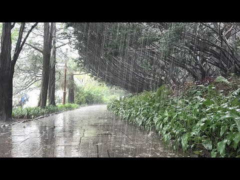 Rainsounds on a walkway that clears the mind. Reduce Stress, Improve Focus, Fast asleep, Relaxing