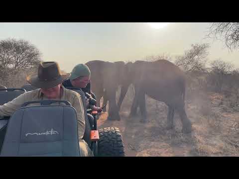 What does a Private Guide do on my Safari?