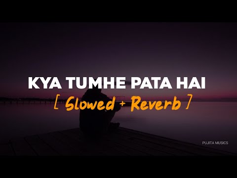 Kya Tumhe Pata Hai | Slowed &amp; Reverb | Udit Narayan | Pujita Musics