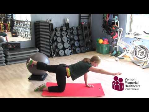 Bird Dog Exercise - Wellness Wednesday