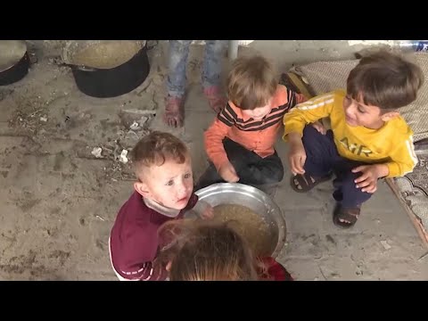 Food kitchen provides essential meals to hundreds of Palestinians sheltering in Rafah