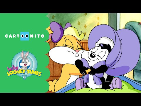 Baby Looney Tunes | Jealous Sylvester | Cartoonito