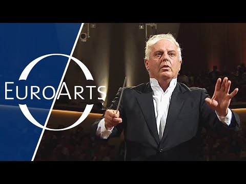 Beethoven - Symphony No. 9 (Daniel Barenboim &amp; the West-Eastern Divan Orchestra)