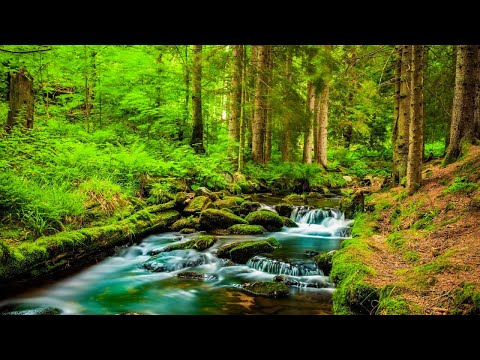 Stop Overthinking - Beautiful Relaxing Music for Stress Relief, Mindful Escapes, Calm Your Mind #15