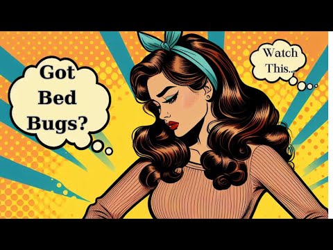 Effective Strategies for Picking the Best Bed Bug Treatment