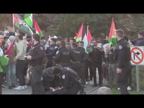 Gunshot fired, pepper spray discharged during Israel, Palestine rallies in Chicago suburb