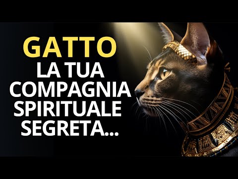 🐱 La missione dei GATTI | il loro scopo nella tua VITA