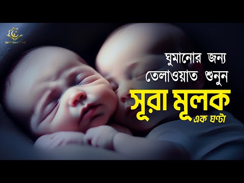 Surah Al-Mulk for 1 hour | ঘুমানোর জন্য | এক ঘণ্টা সূরা মূলক | Recited by Alaa Aqel