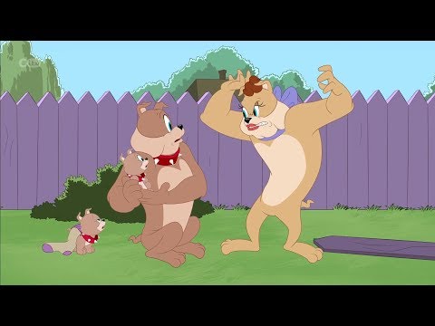 The Tom And Jerry Show - Not My Tyke