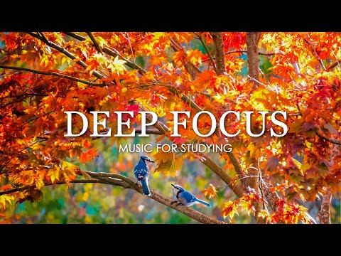 Focus Music for Work and Studying - 4 Hours of Ambient Study Music to Concentrate