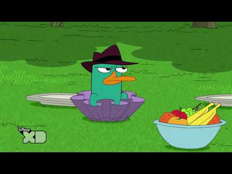 Phineas and Ferb - Perrysodes - Fly on the Wall - Official XD [HD]