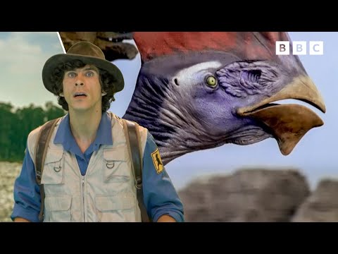 Facts About Dinosaurs | Dinosaur Adventures | Andy's Amazing Adventures