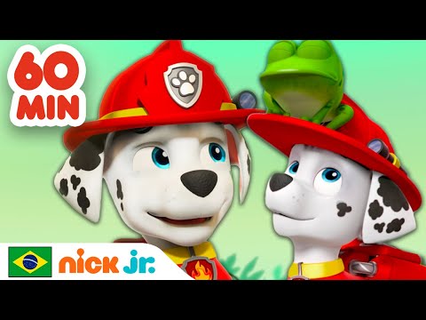 Patrulha Canina | 1 hora dos melhores resgates do Marshall! | Nick Jr. em Portugu&ecirc;s