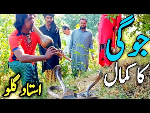 Catching a snake by Jogi | جوگی نے کمال کر دیا | Jogi and Snake | Mushki Naag