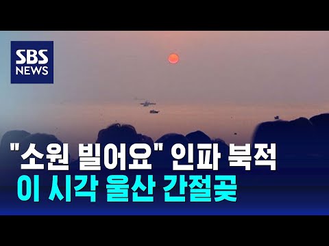 &quot;소원 빌어요&quot; 해맞이 인파로 북적&hellip;이 시각 울산 간절곶 / SBS