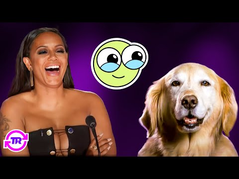 Top 25 CUTEST Animal Acts Ever on America's Got Talent!