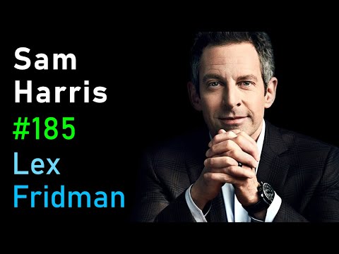 Sam Harris: Consciousness, Free Will, Psychedelics, AI, UFOs, and Meaning | Lex Fridman Podcast 