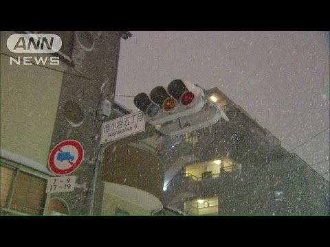 東京で45年ぶりの大雪　7万軒を超える停電も(14/02/08)