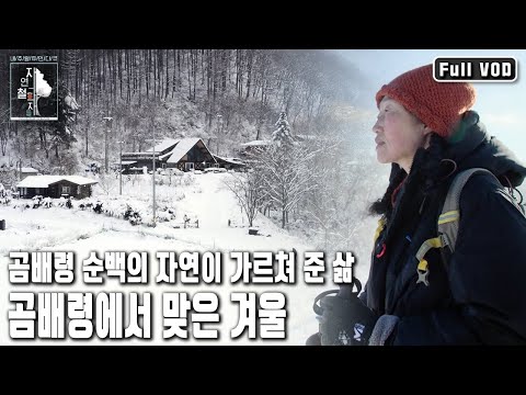 &lsquo;이 겨울이 끝나면 돌아가야지...&rsquo;라고 생각했지만 그녀는 여전히 곰배령에서 겨울을 나고 있다 | 자연의 철학자들 46부 곰배령, 눈꽃 내리면 (KBS 20230217 방송)