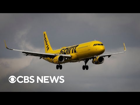 Unaccompanied boy placed on wrong Spirit Airlines flight