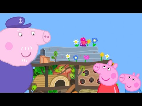 The Bugs And Insects Hotel 🐞 🐽 Peppa Pig Kids Videos