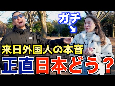 【衝撃】日本に来てる外国人に日本どう思うか本音を聞いてみた