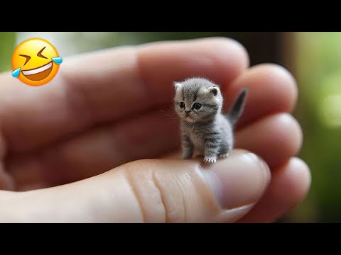 You Laugh You Lose 😄 Funniest Animals 2023 😺🐶 Part 7