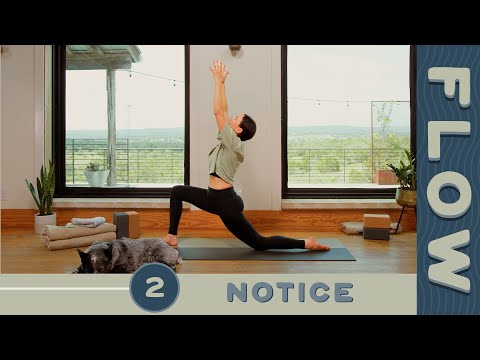 Flow - Day 2 - Notice