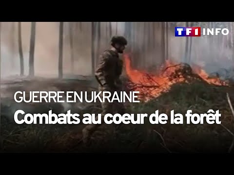 Guerre en Ukraine : les soldats ukrainiens sur le front de Kreminna