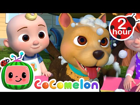 Splash and Fun Bath with Bingo! | Animal Cartoons for Kids | Funny Cartoons | Learn about Animals