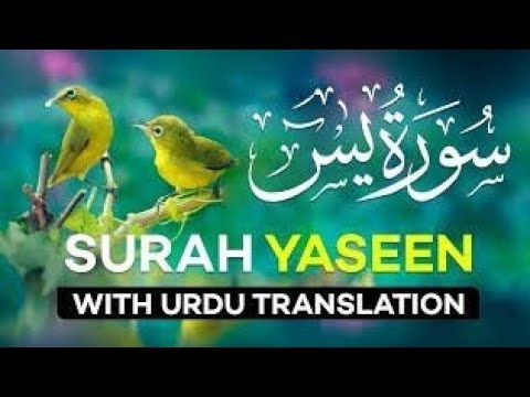 SURAH YASEEN TARJUMA KE SATH QARI AL SHAIKH ABDUL BASIT ABDUL SAMAD