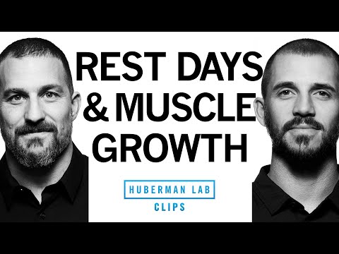 How to Know If You Need a Rest Day | Dr. Andy Galpin &amp; Dr. Andrew Huberman