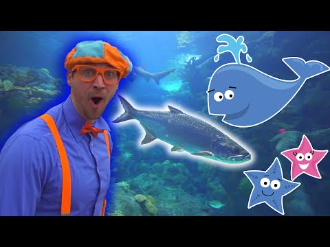 Blippi | Blippi Visits The Aquarium! | Educational Videos for Toddlers