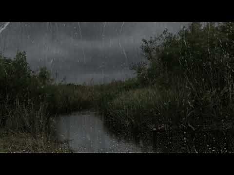 Heavy Rain &amp; Thunder - Rain sounds for Sleep - 1 hour rain sounds for sleep