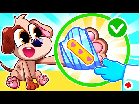 Pet Got a Boo Boo Song 🐶 😢 | Funny Kids Songs and Nursery Rhymes by Baby Zoo Story