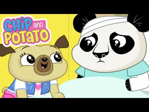 Chip and Potato | Nico Has Broken His Arm | Cartoons For Kids