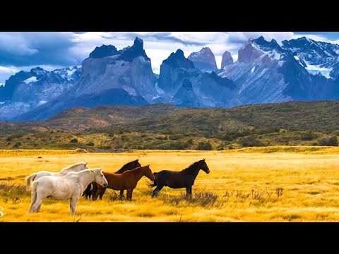 Beautiful Relaxing Music, Peaceful Soothing Instrumental Music, &quot;Horses of the Mt Realms&quot; Tim Janis