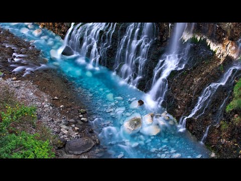 【撮影旅】美瑛の丘をめぐる旅！絶景2020 travel photography